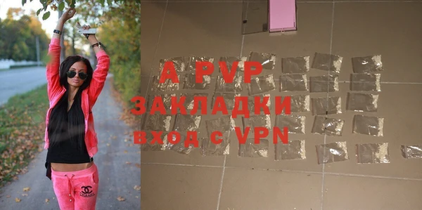 спиды Корсаков