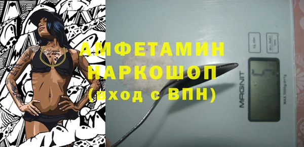 молекула духа Калининец